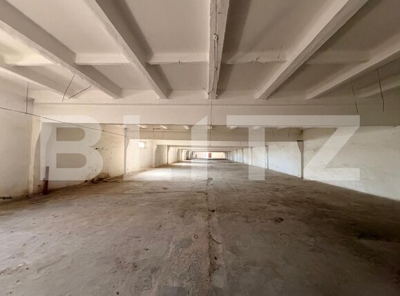 Spațiu industrial de vânzare Bucovat - 191118SVI | BLITZ Craiova | Poza1