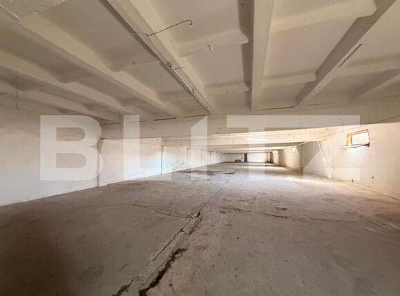 Spațiu industrial de vânzare Bucovat - 191118SVI | BLITZ Craiova | Poza2