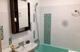 Garsonieră mobilată/utilată, 30.60 mp, zona Brazda lui Novac