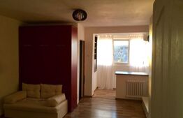 Garsonieră mobilată/utilată, 30.60 mp, zona Brazda lui Novac