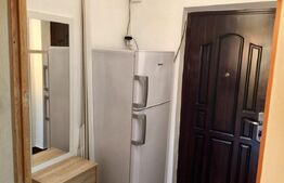 Garsonieră mobilată/utilată, 30.60 mp, zona Brazda lui Novac