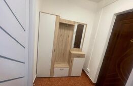 Garsonieră mobilată/utilată, 29.42 mp, zona Brazda lui Novac