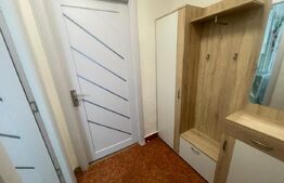 Garsonieră mobilată/utilată, 29.42 mp, zona Brazda lui Novac