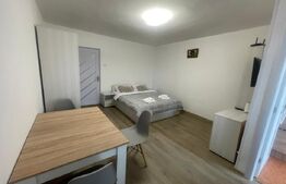 Garsonieră mobilată/utilată, 29.42 mp, zona Brazda lui Novac