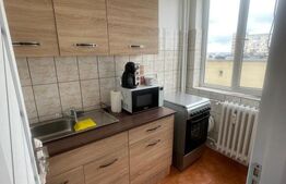 Garsonieră mobilată/utilată, 29.42 mp, zona Brazda lui Novac