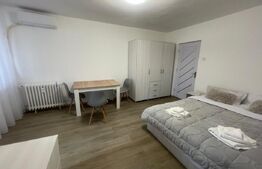 Garsonieră mobilată/utilată, 29.42 mp, zona Brazda lui Novac