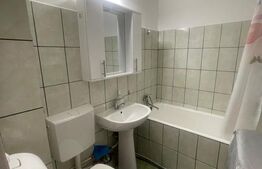 Garsonieră mobilată/utilată, 29.42 mp, zona Brazda lui Novac