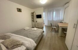 Garsonieră mobilată/utilată, 29.42 mp, zona Brazda lui Novac