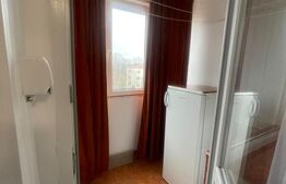 Garsonieră mobilată/utilată, 29.42 mp, zona Brazda lui Novac
