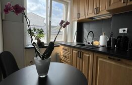 Apartament 2 camere, 40 mp, zona Ultracentral - English Park