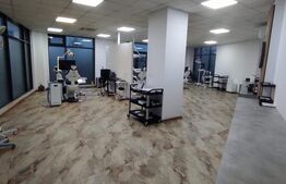 Spatiu comercial parter, 135 mp suprafata utila, Rovine