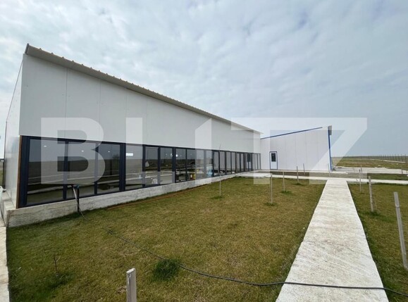 Spațiu comercial de vânzare Exterior Est - 191209SVC | BLITZ Craiova | Poza10