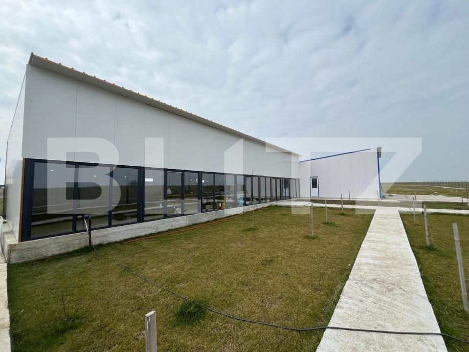 Spațiu comercial de vânzare Exterior Est - 191209SVC | BLITZ Craiova | Poza10