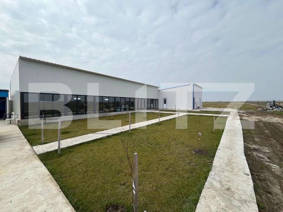 Spațiu comercial de vânzare Exterior Est - 191209SVC | BLITZ Craiova | Poza3