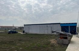 Teren intravilan, 8400 mp, zona Exterior Est