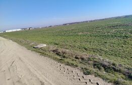 Teren extravilan, Cârcea, 988 mp 