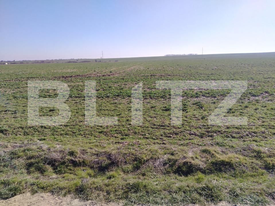 Teren de vânzare Carcea  - 191381TV | BLITZ Craiova | Poza3