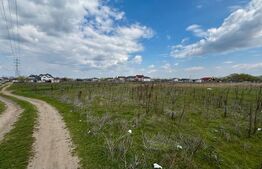 Teren extravilan, 1323 mp, zona Cernele