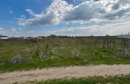 Teren extravilan, 1323 mp, zona Cernele