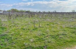 Teren extravilan, 1323 mp, zona Cernele