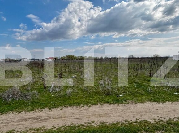 Teren de vânzare Cernele - 191389TV | BLITZ Craiova | Poza2