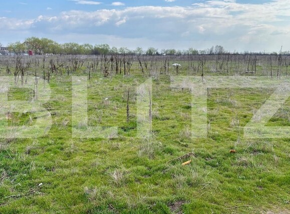 Teren de vânzare Cernele - 191389TV | BLITZ Craiova | Poza4