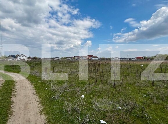 Teren de vânzare Cernele - 191389TV | BLITZ Craiova | Poza3