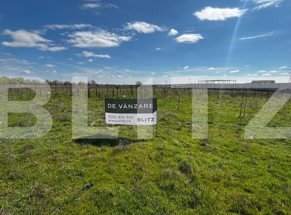 Teren de vânzare Cernele - 191389TV | BLITZ Craiova | Poza1