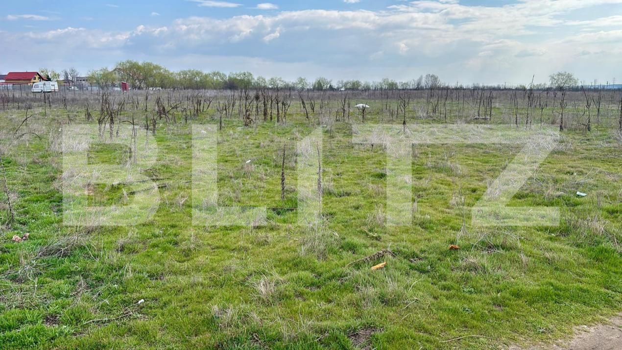 Teren de vânzare Cernele - 191389TV | BLITZ Craiova | Poza4