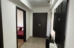 Apartament 2 camere, 50 mp, zona Brazda lui Novac 