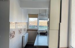 Apartament 2 camere, 50 mp, zona Brazda lui Novac 