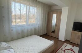 Apartament 2 camere, 50 mp, zona Brazda lui Novac 