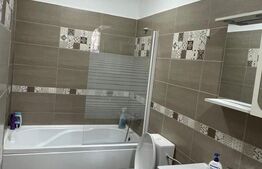 Apartament 2 camere, 50 mp, zona Brazda lui Novac 