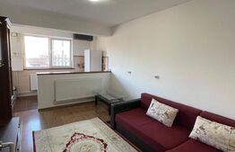 Apartament 2 camere, 50 mp, zona Brazda lui Novac 