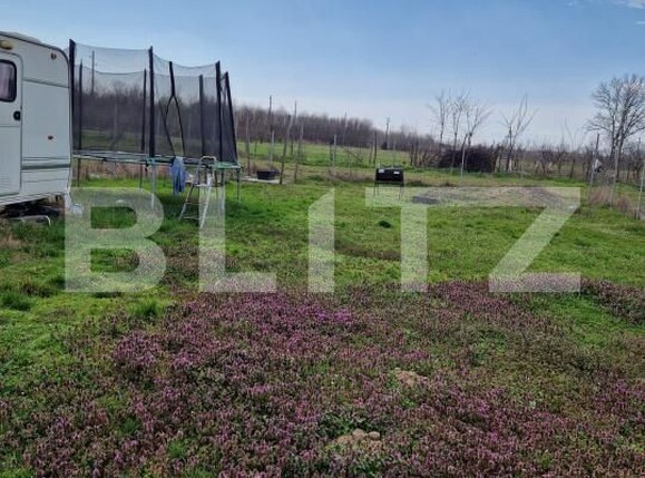 Teren de vânzare Cernele - 191421TV | BLITZ Craiova | Poza2