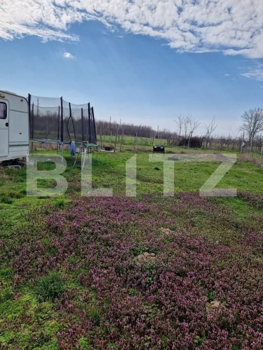 Teren de vânzare Cernele - 191421TV | BLITZ Craiova | Poza2