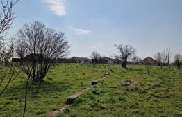 Fermă de vânzare 8 ha – Balș, județul Olt
