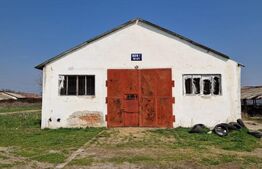 Fermă de vânzare 8 ha – Balș, județul Olt