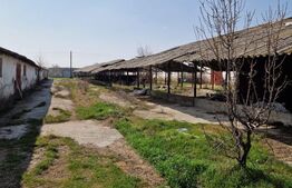 Fermă de vânzare 8 ha – Balș, județul Olt