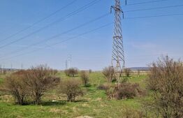 Fermă de vânzare 8 ha – Balș, județul Olt