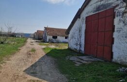 Fermă de vânzare 8 ha – Balș, județul Olt