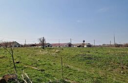 Fermă de vânzare 8 ha – Balș, județul Olt