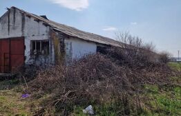 Fermă de vânzare 8 ha – Balș, județul Olt