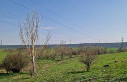 Fermă de vânzare 8 ha – Balș, județul Olt