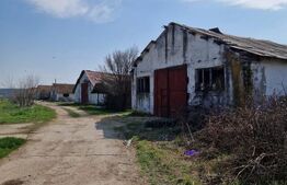 Fermă de vânzare 8 ha – Balș, județul Olt