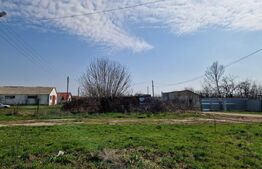 Fermă de vânzare 8 ha – Balș, județul Olt