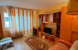 Camera de camin, 21 mp, zona Lapus