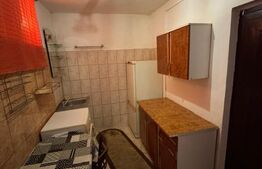 Camera de camin, 21 mp, zona Lapus