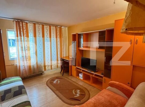 Garsonieră de vânzare Lapus - 191475AV | BLITZ Craiova | Poza2