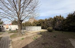 Clădire birouri P + M 230 mp utili, 661 mp teren, Brestei - Centru